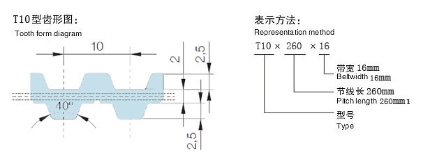 T10齿形图